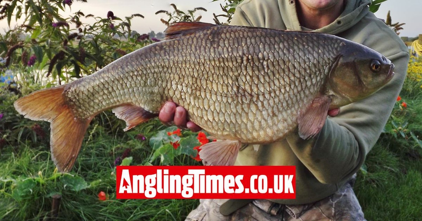 One of the biggest ide ever caught from UK river