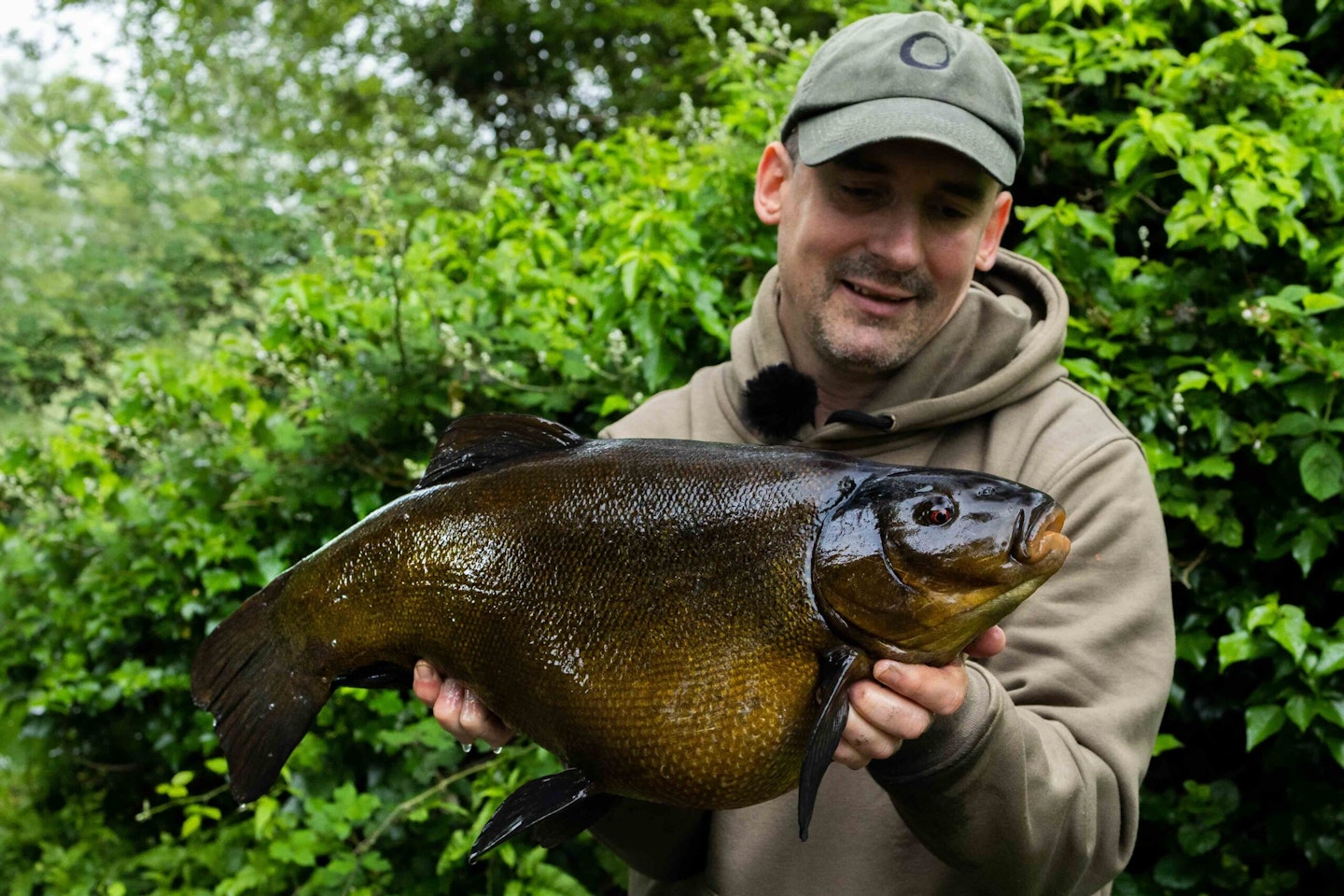 An amazing 11lb 14oz tench for Alan Stagg.