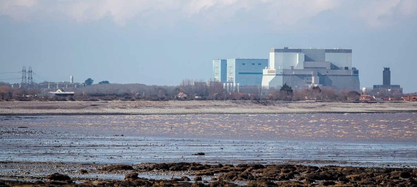 Hinkley Power Plant could put 200m fish at risk every year.