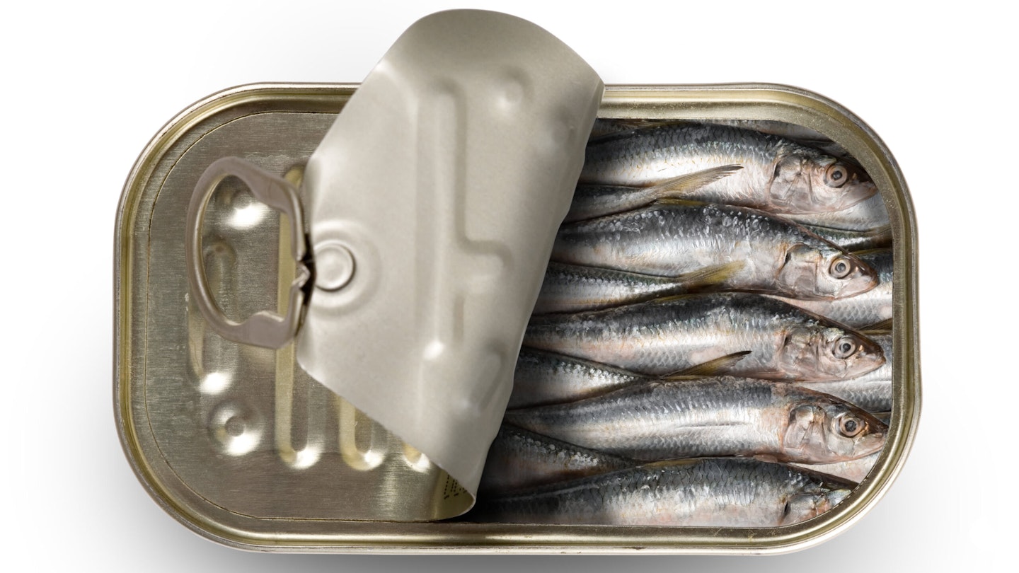 Tinned fish is packed full of oils and attraction