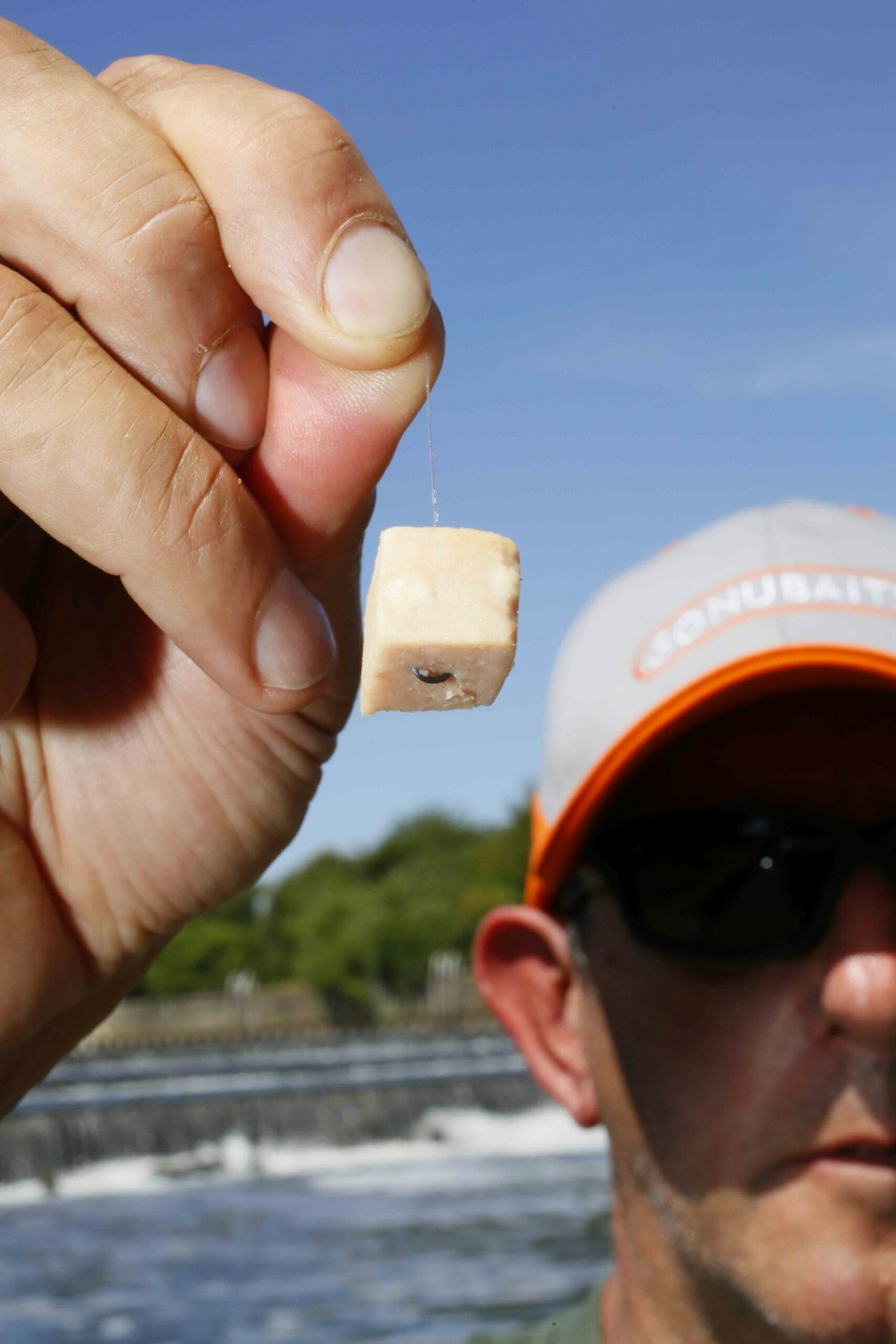 Meat is a great bait for barbel on the float