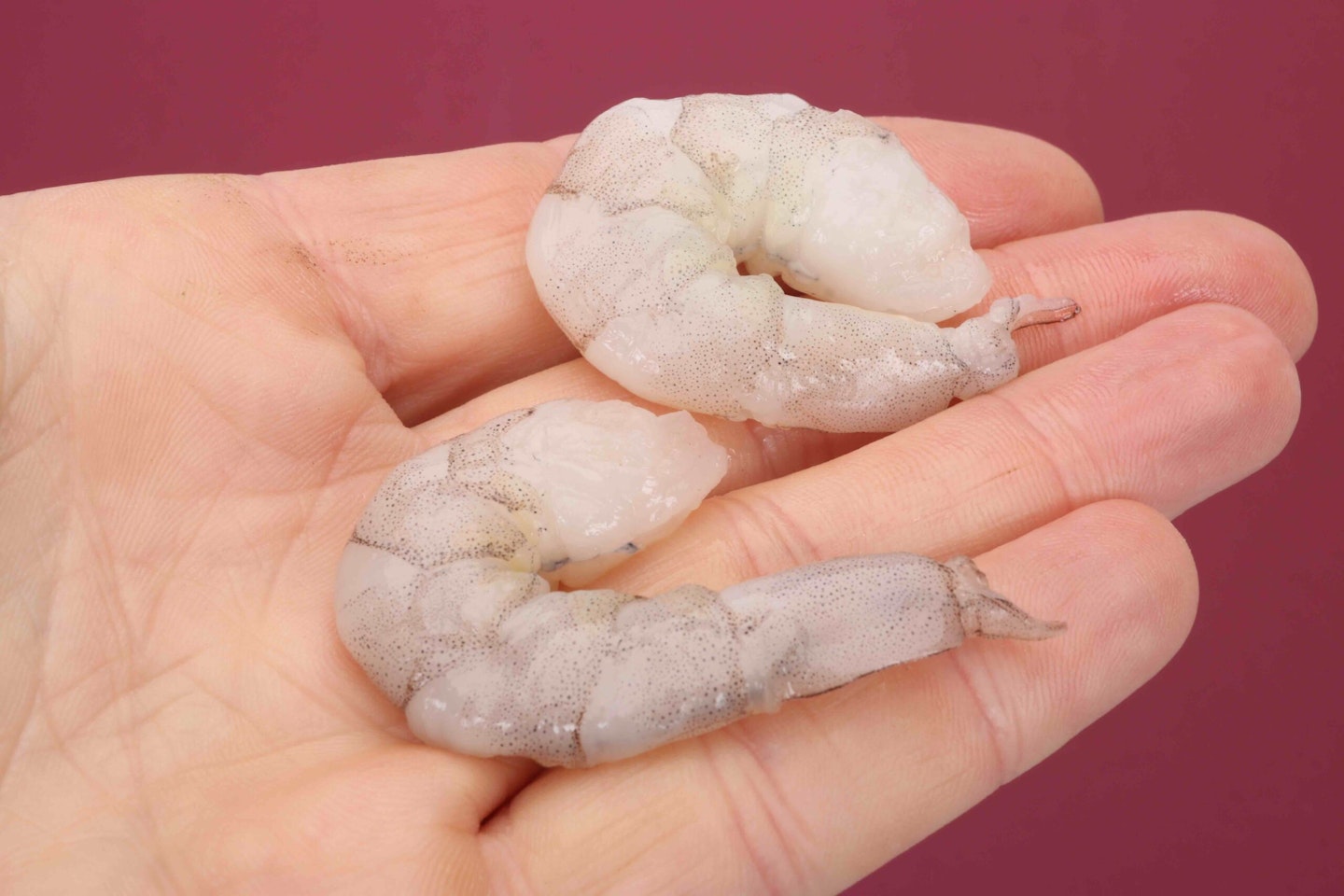 Prawns make a great bait for species like carp and perch.