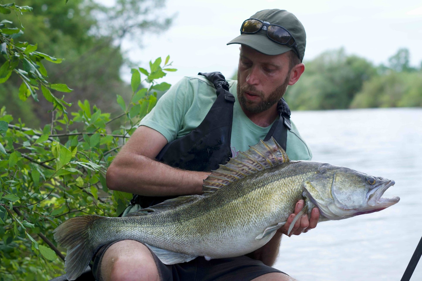 Allan Pagett with his superb 16lb 2oz zander.