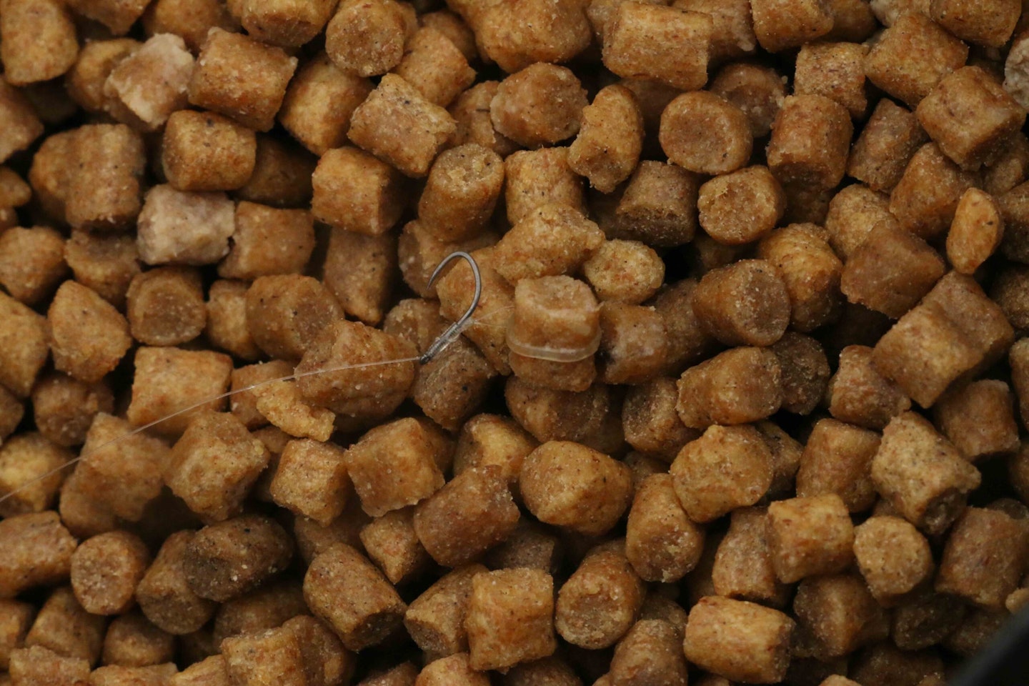 Pellets are Steve's number one bait for the short pole line