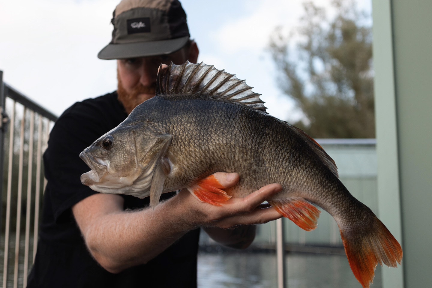 Darren Simpkin holding an enormous 5lb 2oz perch