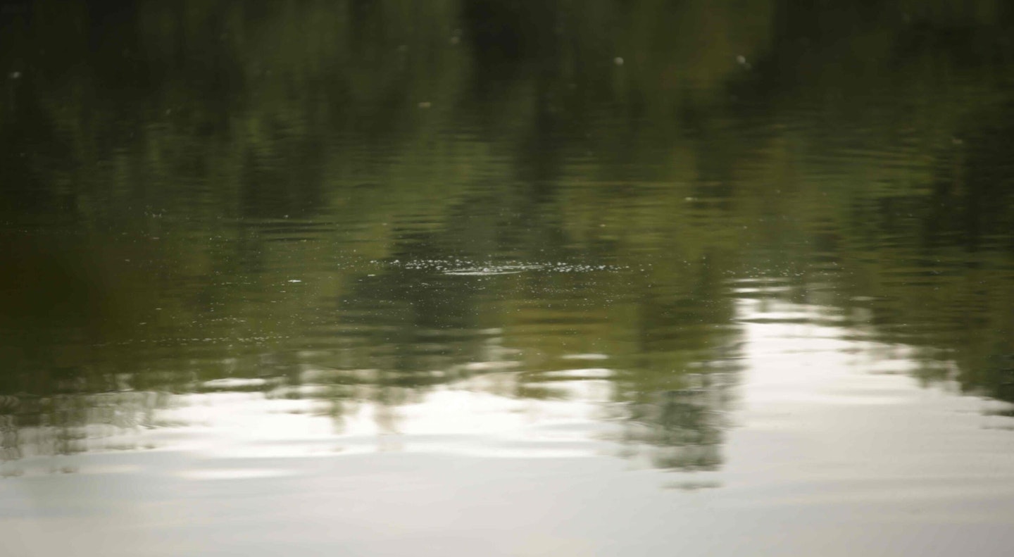 Fizzing, a sure sign of feeding