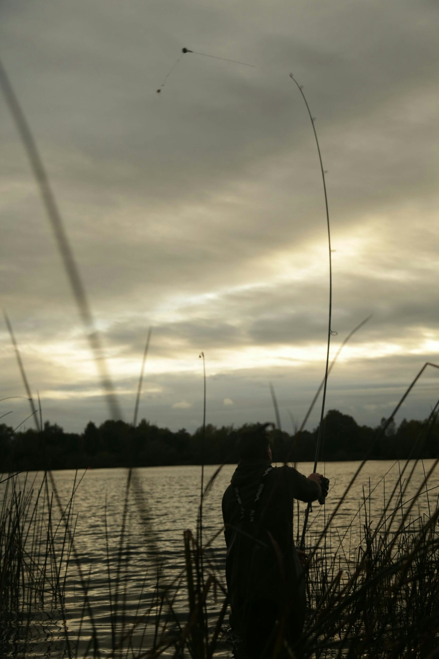Get the rods out first!!!