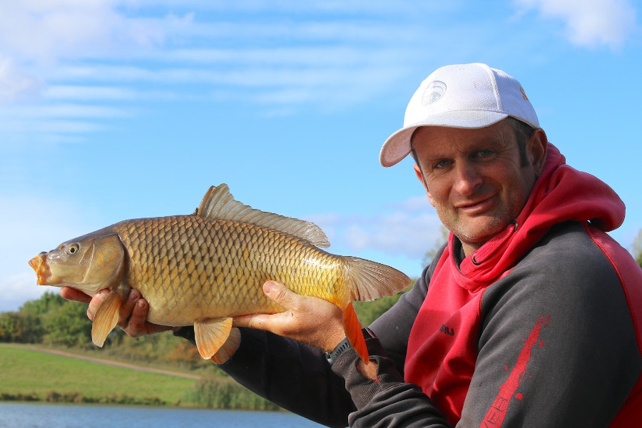 carp are suckers for maggots, especially later in the year