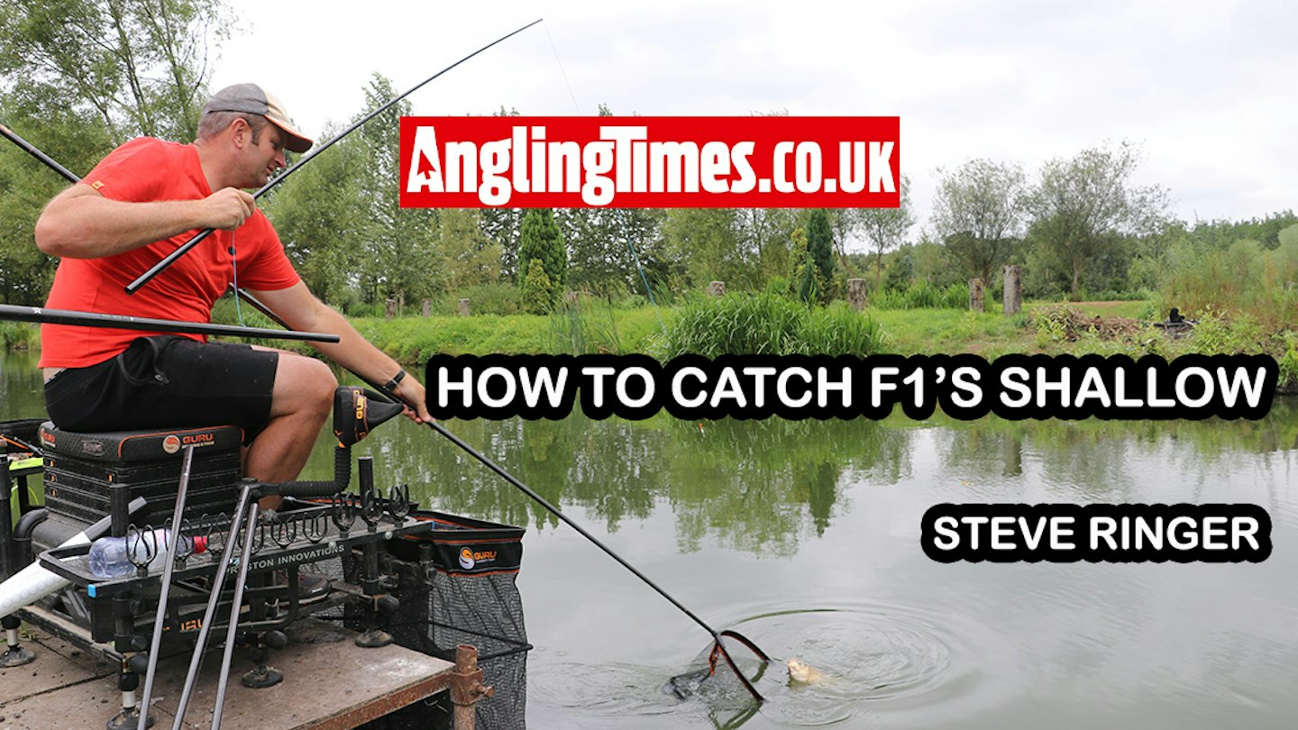 Steve Ringer Groundbait How to fish shallow for F1s | Steve Ringer | Angling Times
