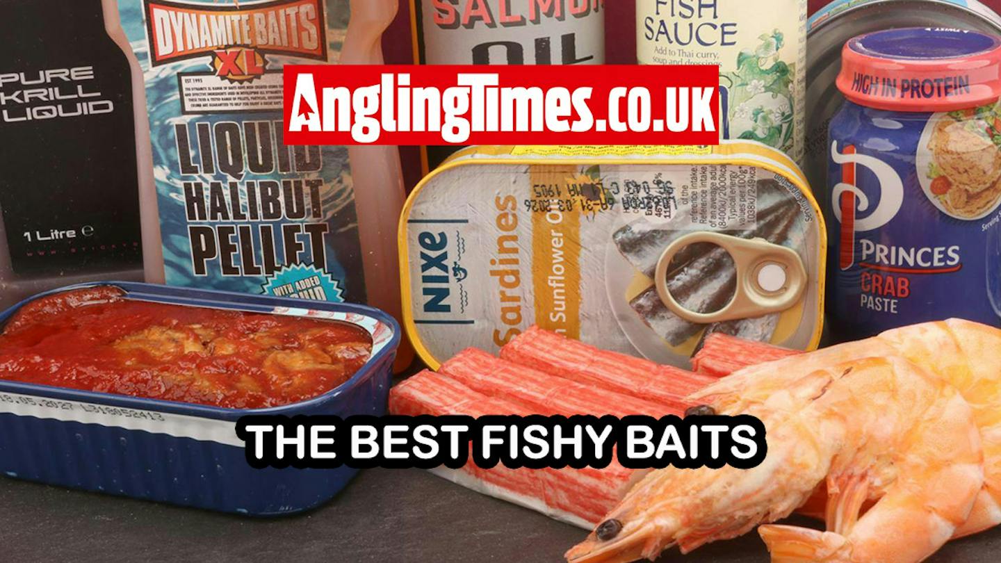 The Best Fishy Baits To Use For Coarse Fishing Angling Times The Best Fishy Baits To Use For Coarse Fishing Angling Times