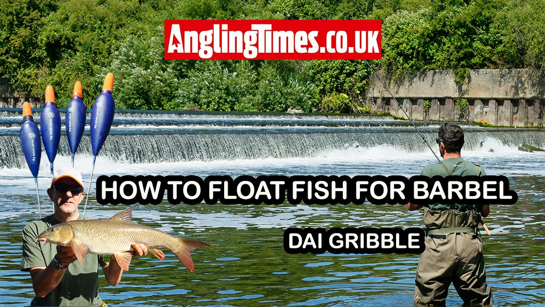 Barbel Rigs Using Fluro How to catch barbel on the float | Dai Gribble | Angling Times
