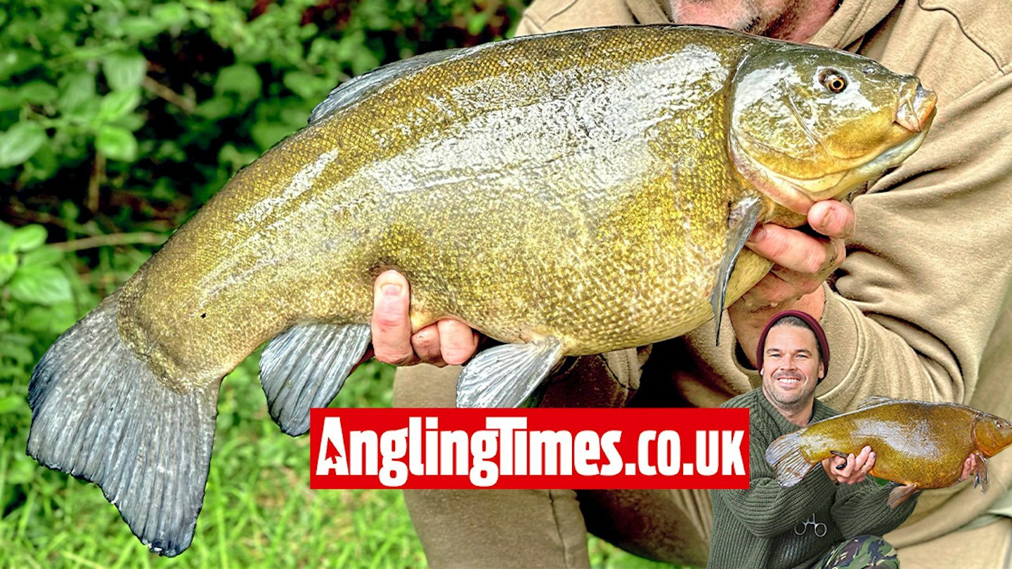Big Tench Rigs Now is the best time to catch a big tench | Angling Times