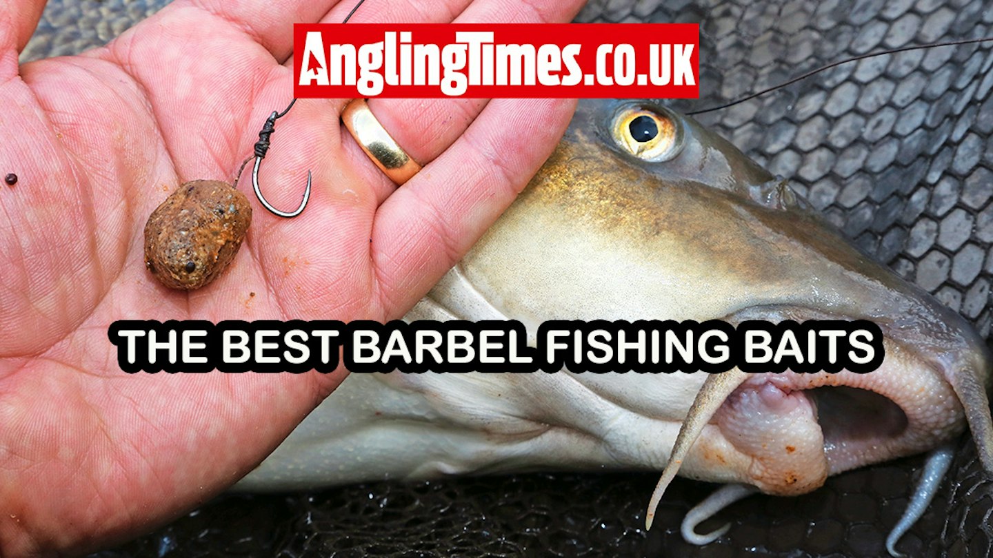Barbel Rigs Using Fluro The best barbel fishing baits | Angling Times
