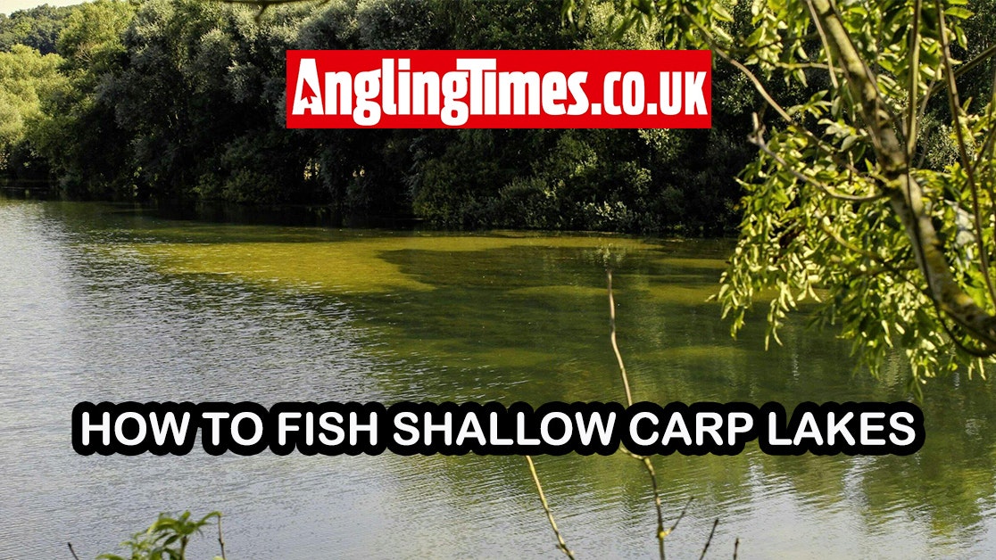 Mastering Carp Fishing in Shallow Lakes: Essential Strategies