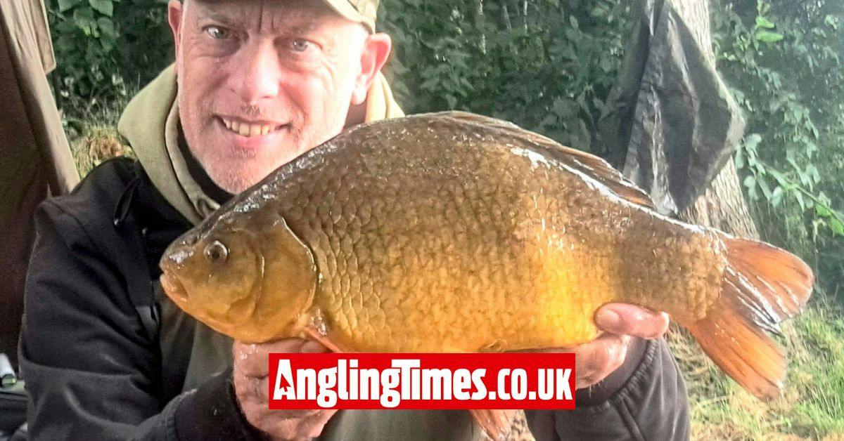 A crucian session to remember with three fish over 3lb banked | Angling ...