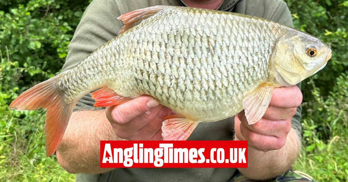 Angler catches huge roach to end 10-year wait | Angling Times