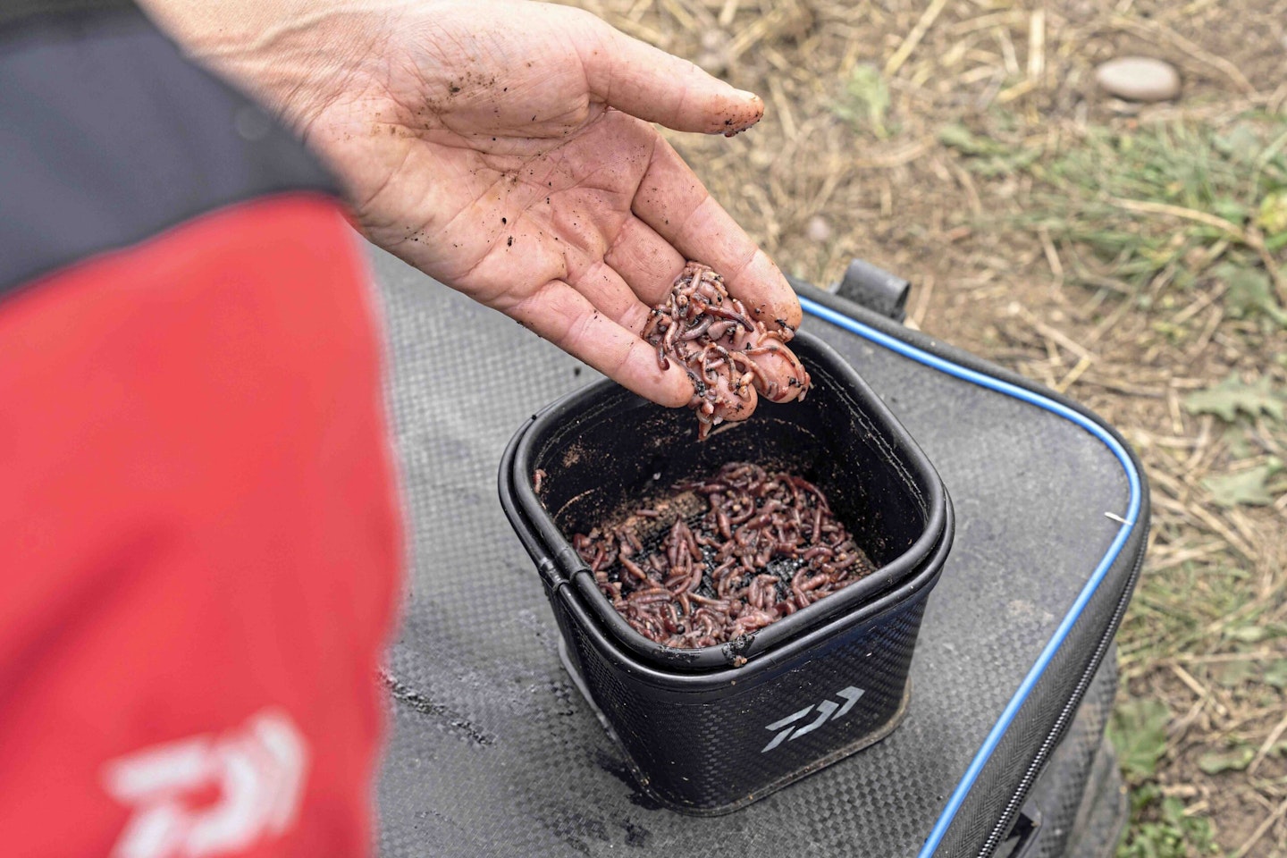 Worms make a great bait for catching big bonus fish