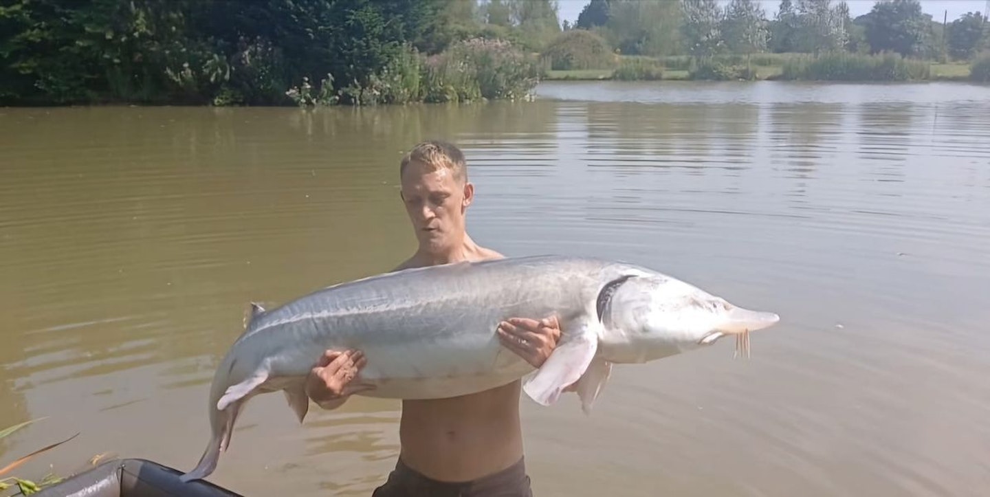 Darryl strugglin to lift his enormous sturgeon