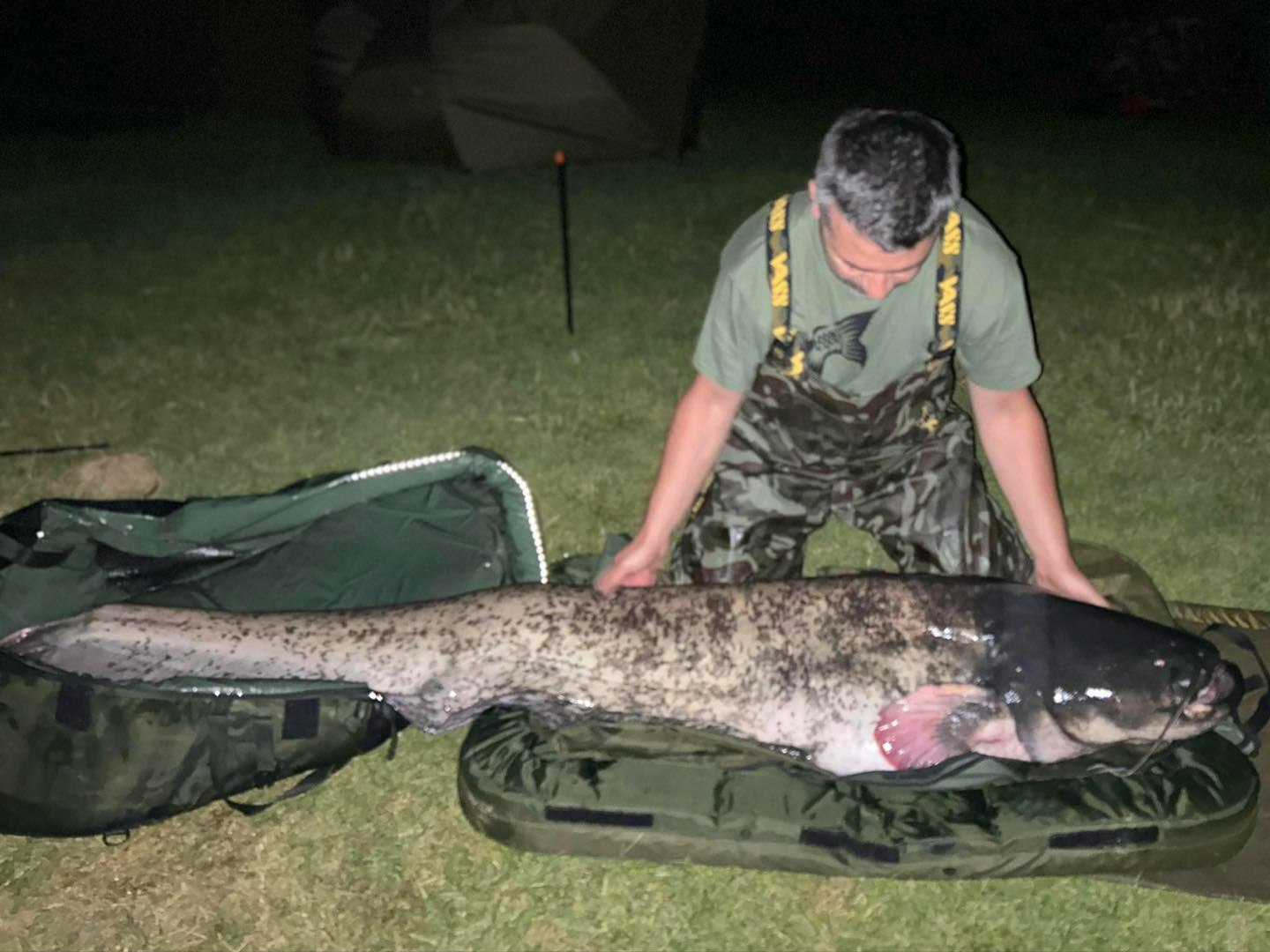 The length of the fish that bottomed the scales!