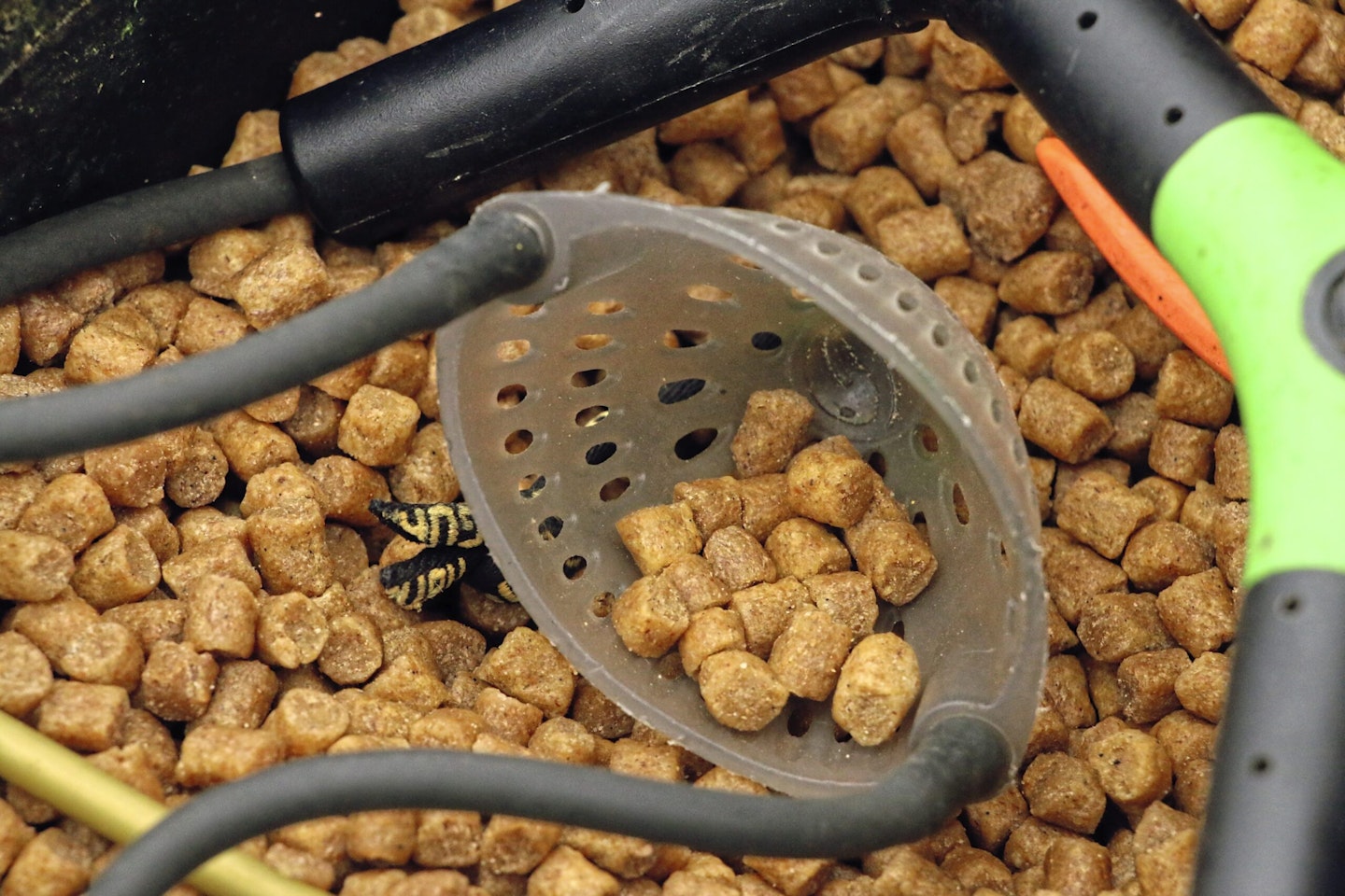 6mm pellets are a great bait for commercial carp