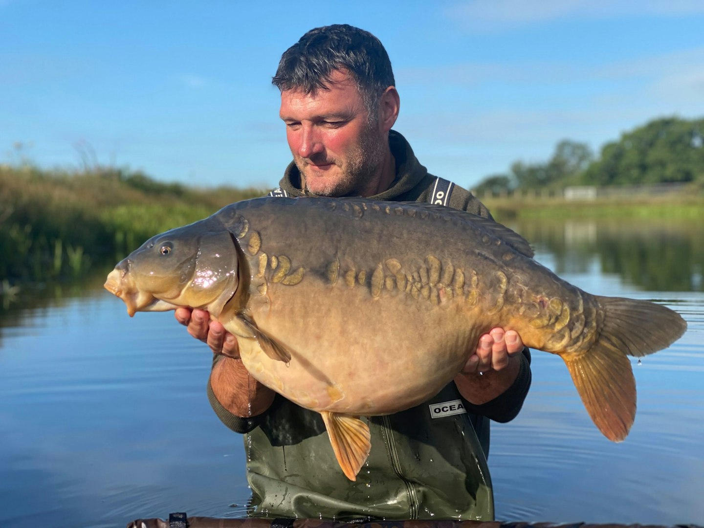 A carp that couldn't resist a solid bag