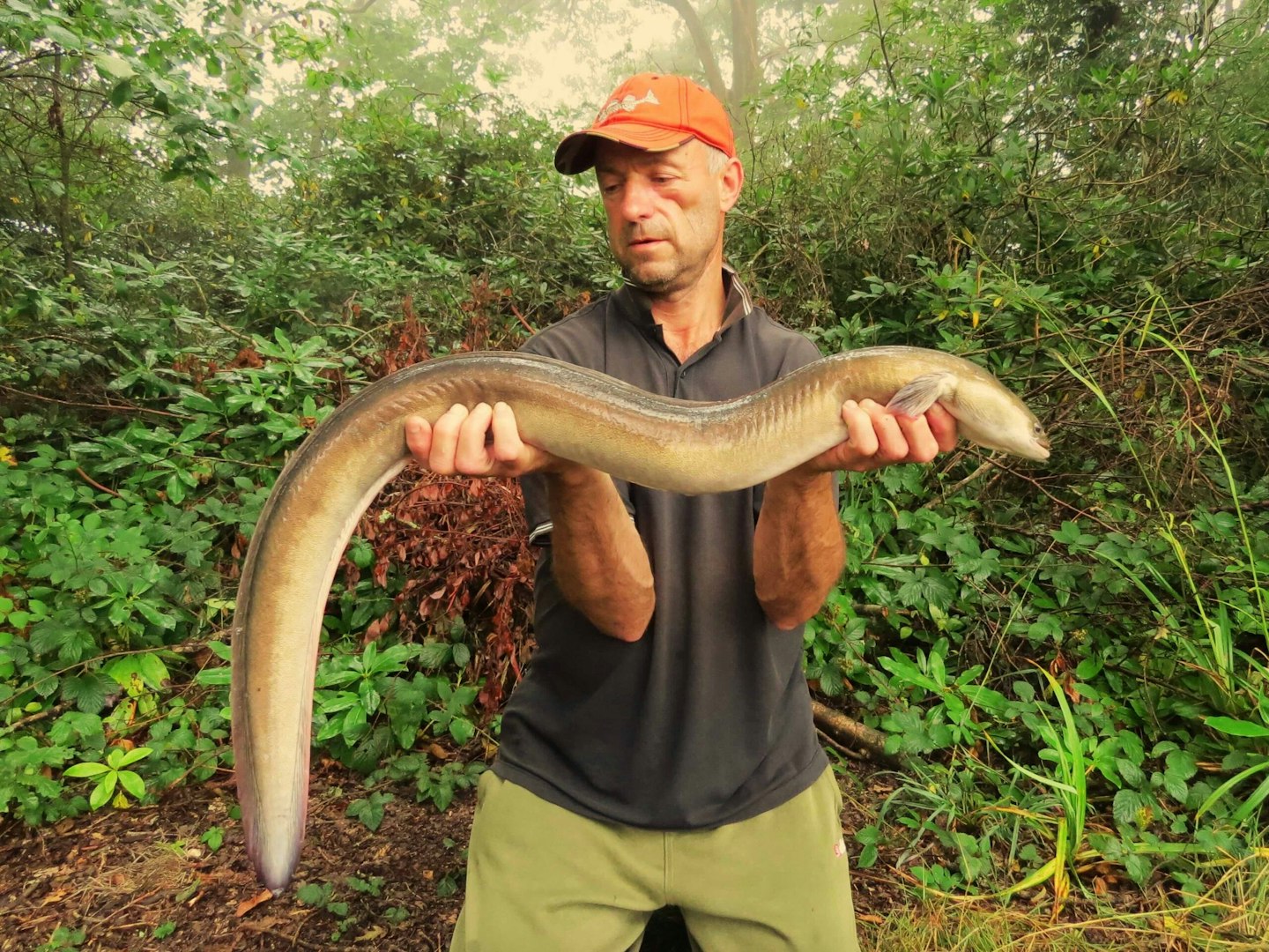 A truly spectacular eel welcomes Ian back to fishing