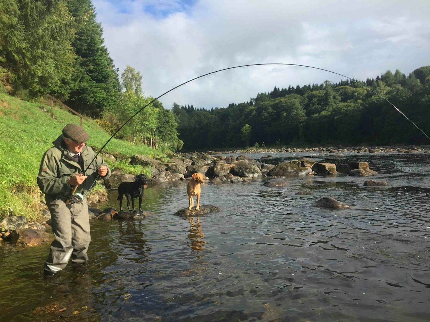 salmon anglers have been reporting bumper catches