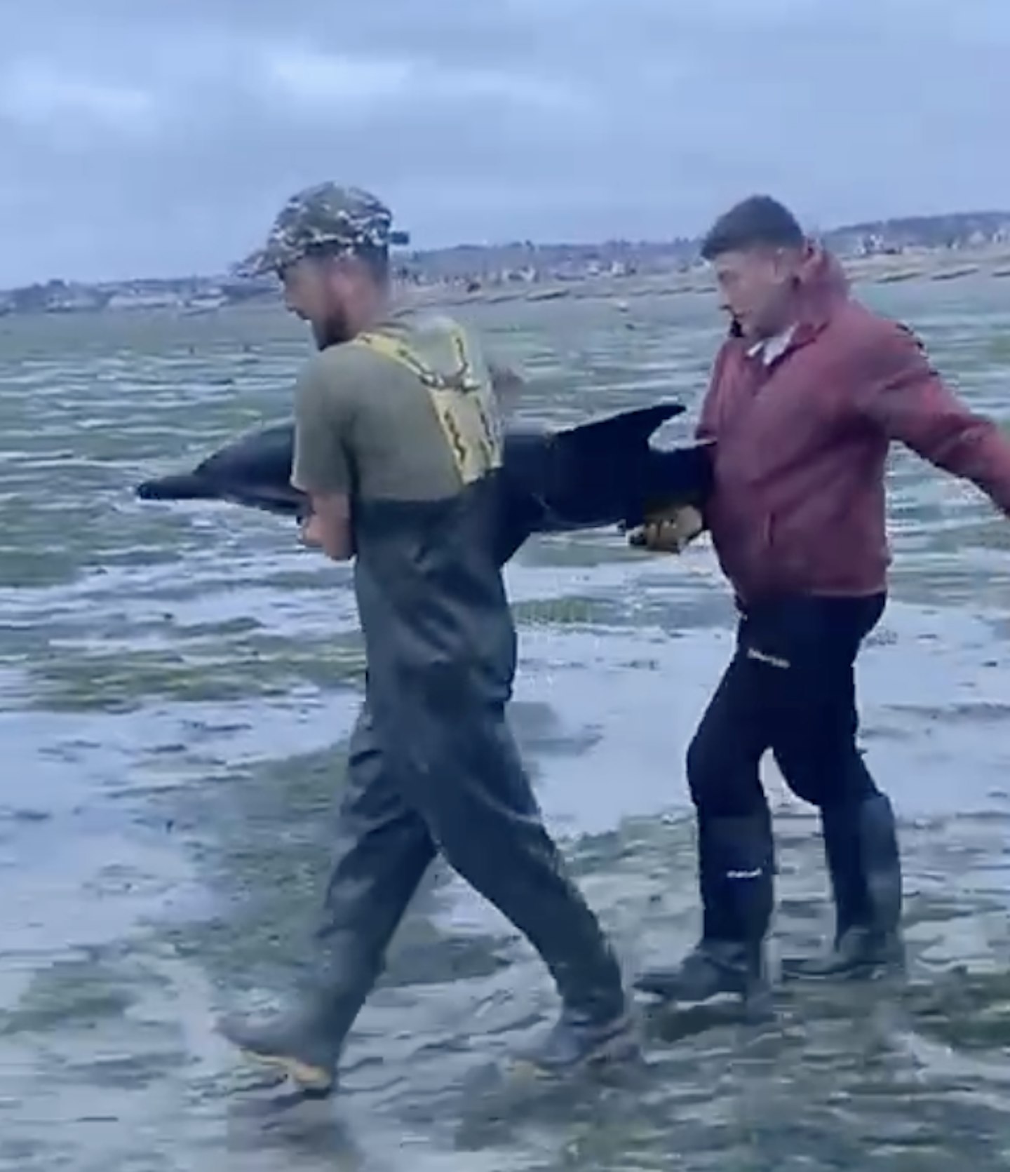 Steve and Aaron helping each other through the mud