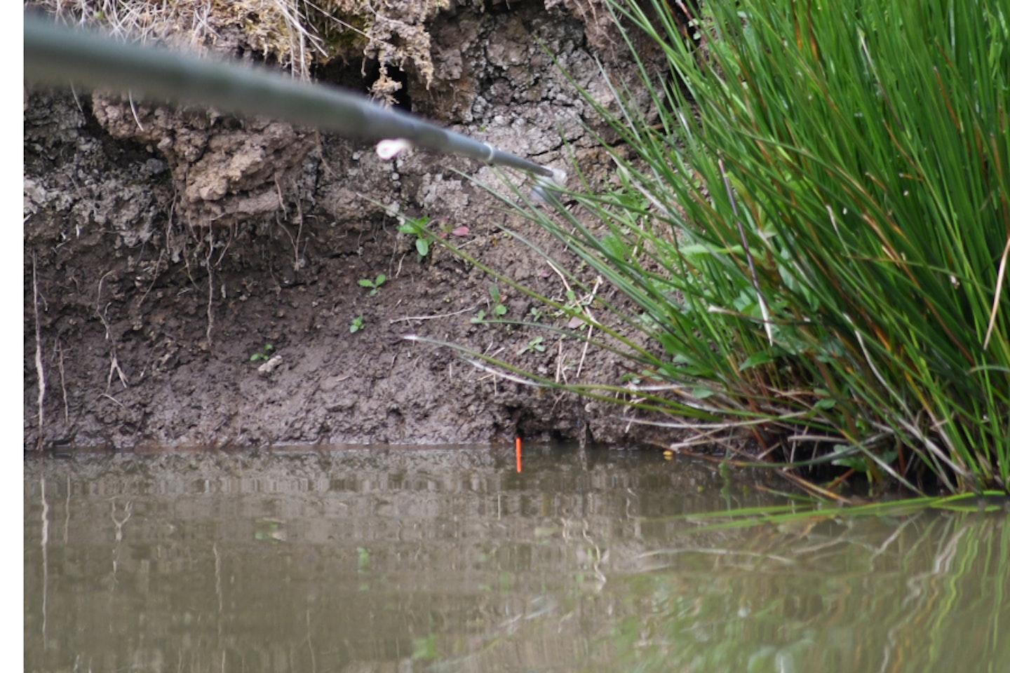 The mudline is a great place to target carp