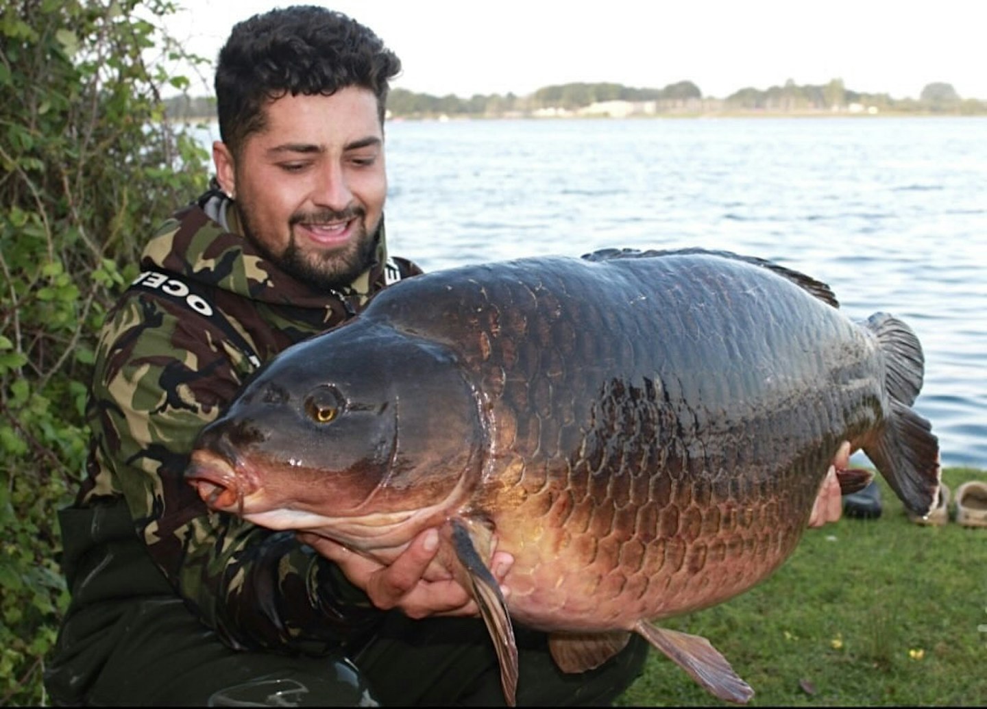 What a magnificent carp that is