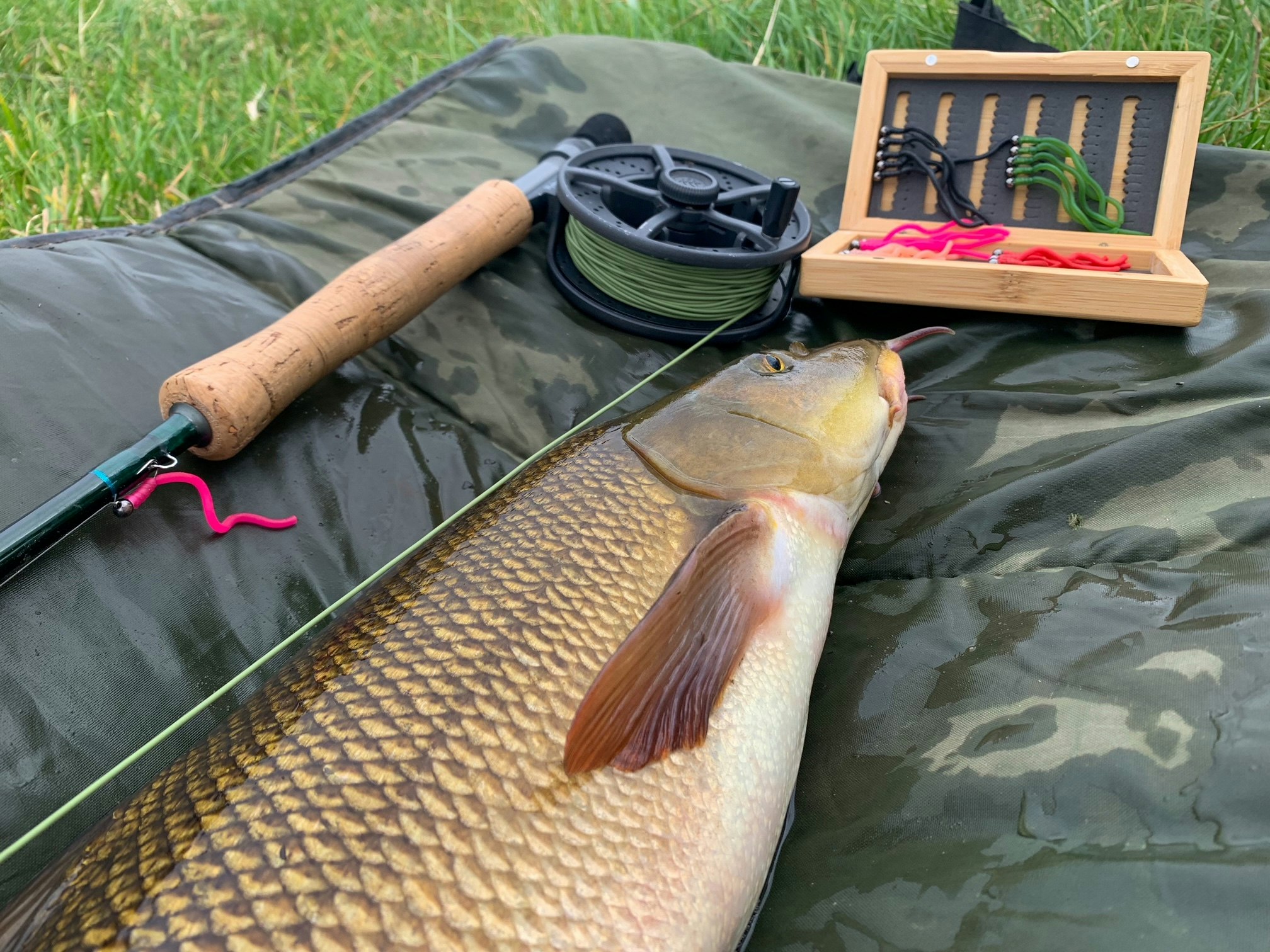 The tackle to catch barbel is fairly simple