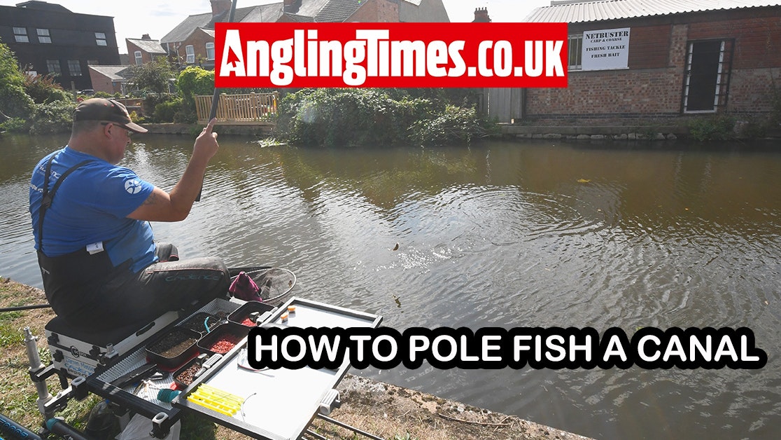 canal pole fishing tips Tbest Rod Tips,Fishing Rod Roller Rod Double Roller Stainless Steel Tip top Bearing Sea Boat Fishing Trolling Tackle Accessory(6#) : Sports & Outdoors 6 tips to catch fish