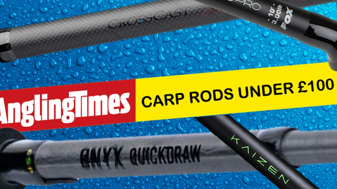 Good Carp Rods The best carp fishing rods under £100 | Angling Times