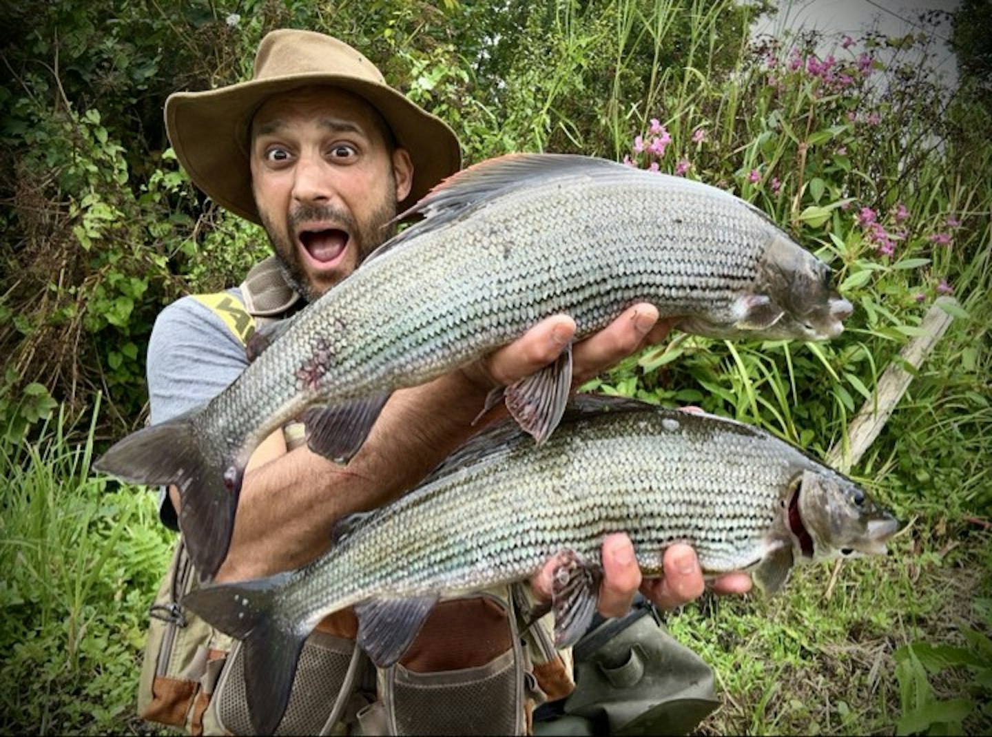 One of the most sensational braces of grayling you are likely to see