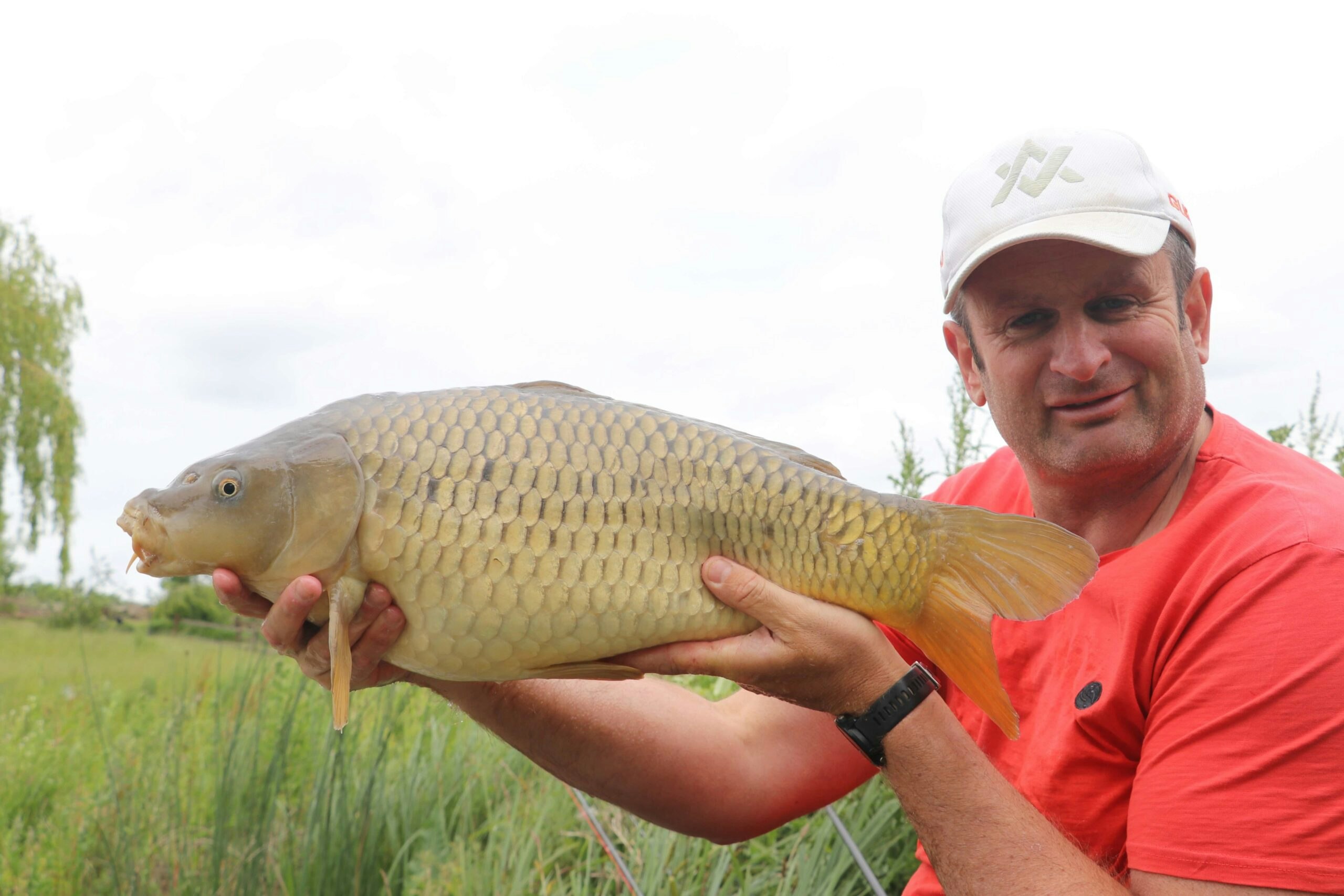 There are some really big carp on snake lakes