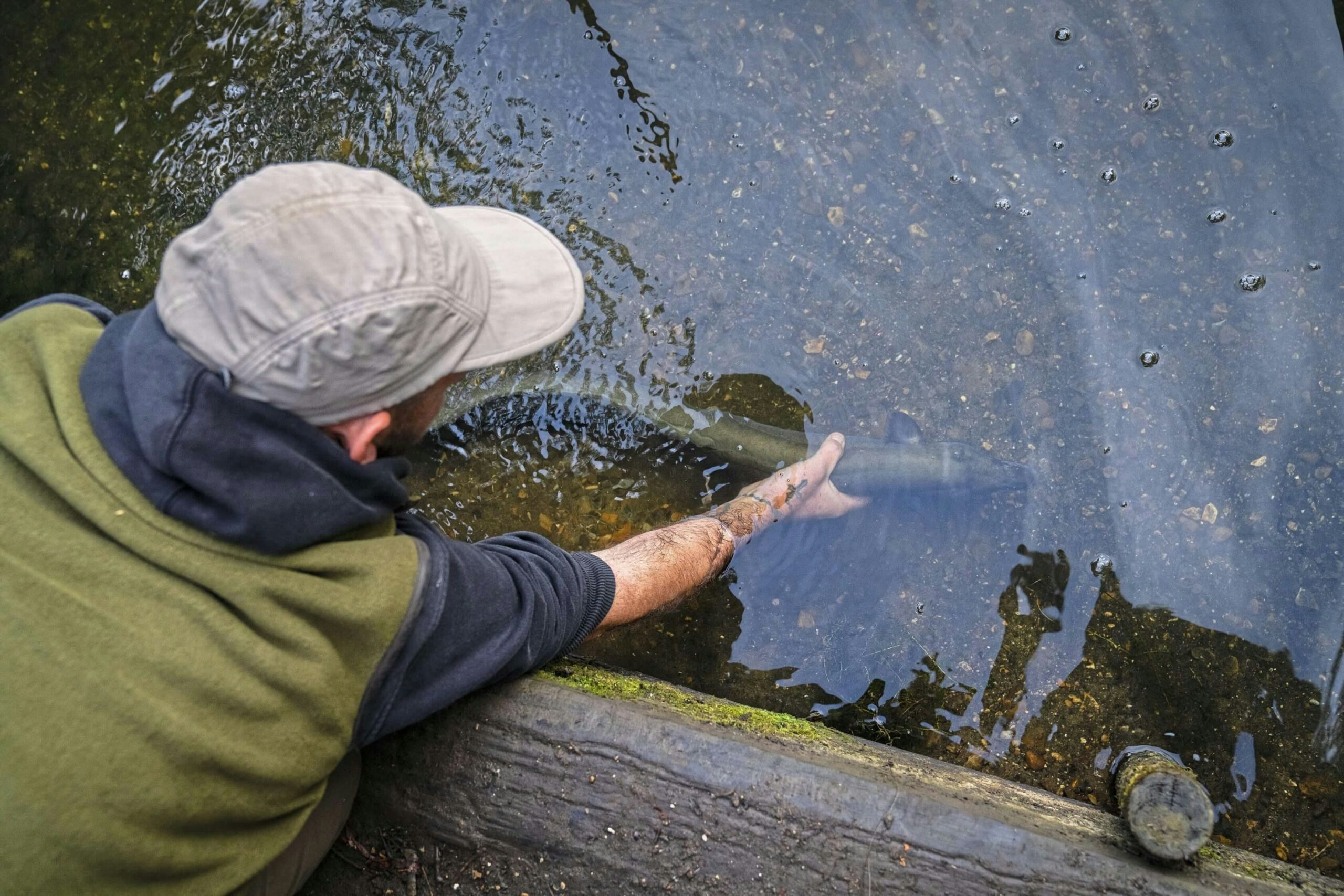 Dave returning the eel he had worked so hard to catch!