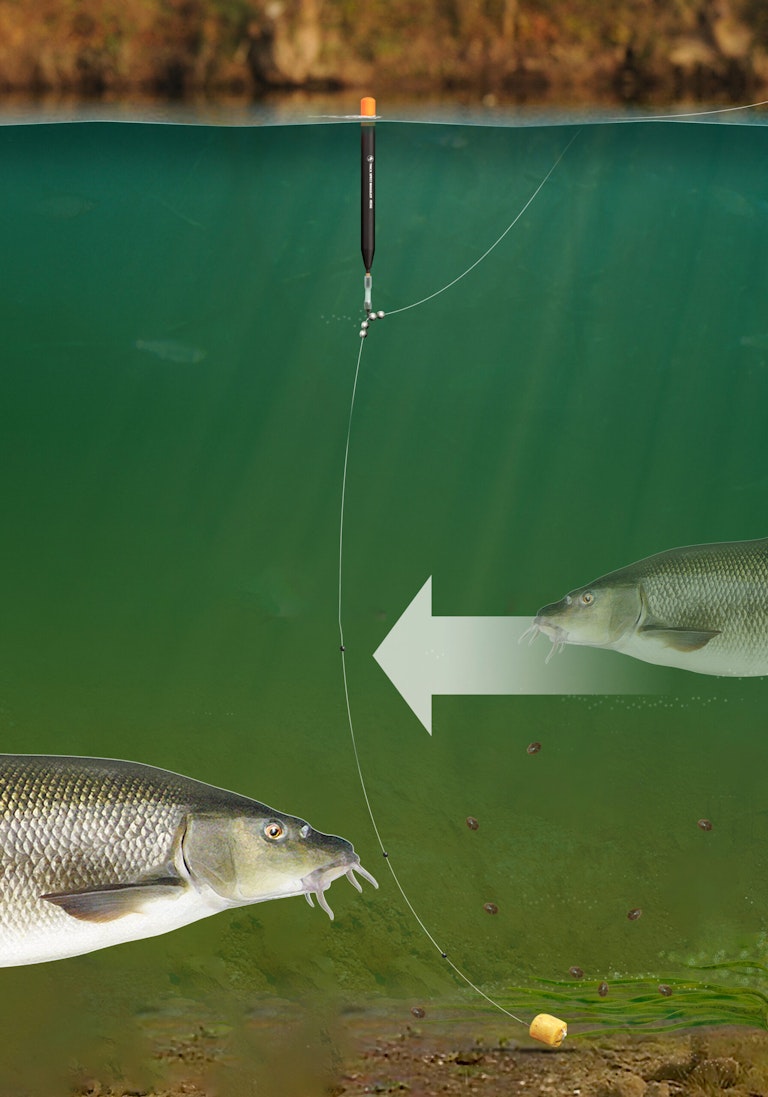 The only barbel rigs you’ll ever need! | Angling Times