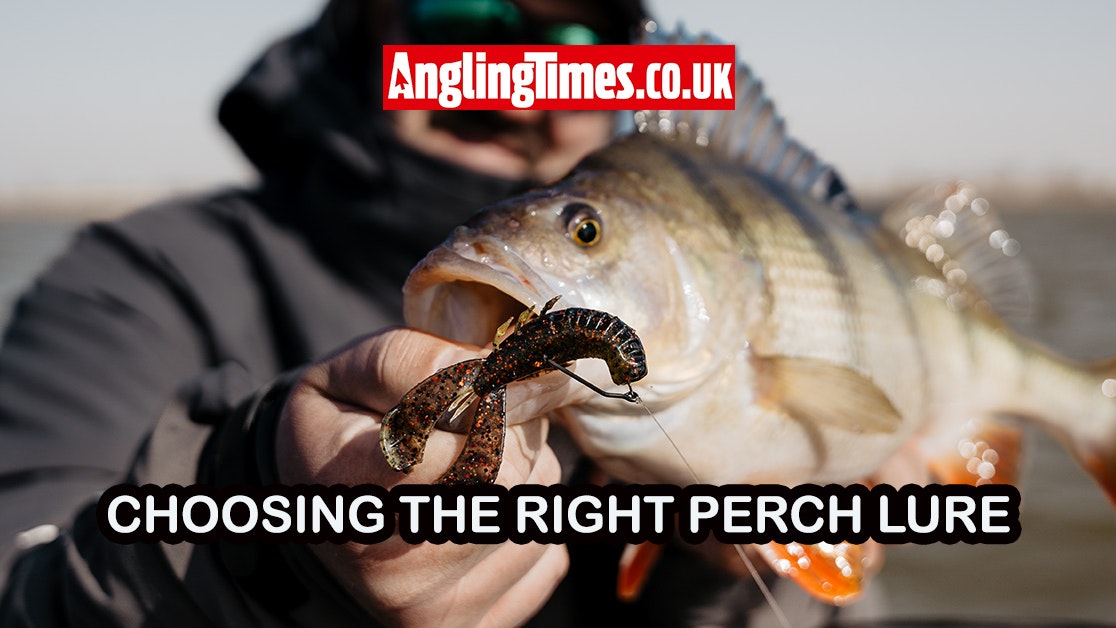 Mastering Perch Fishing: How to Choose the Right Lures