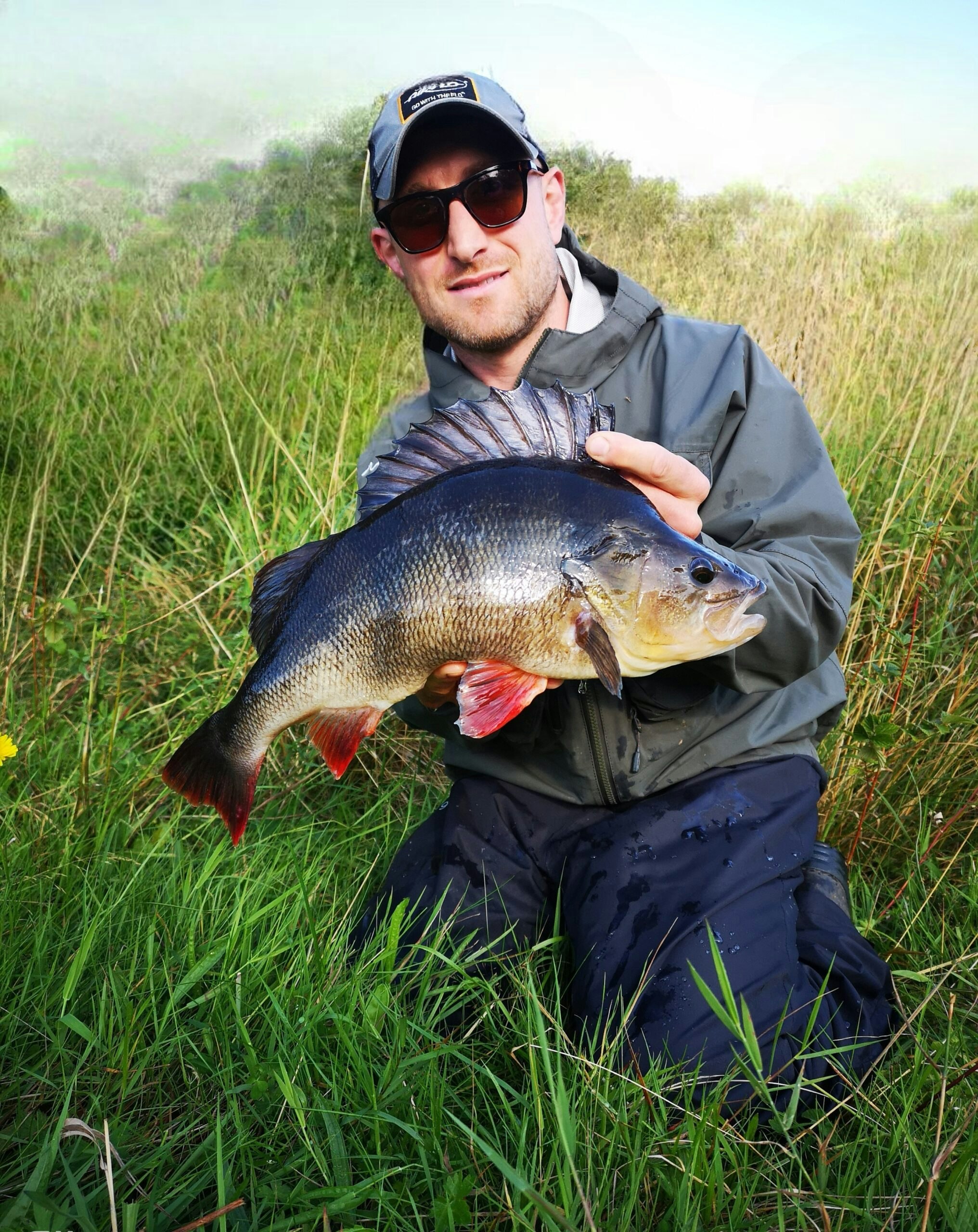 A stunning example of a big perch