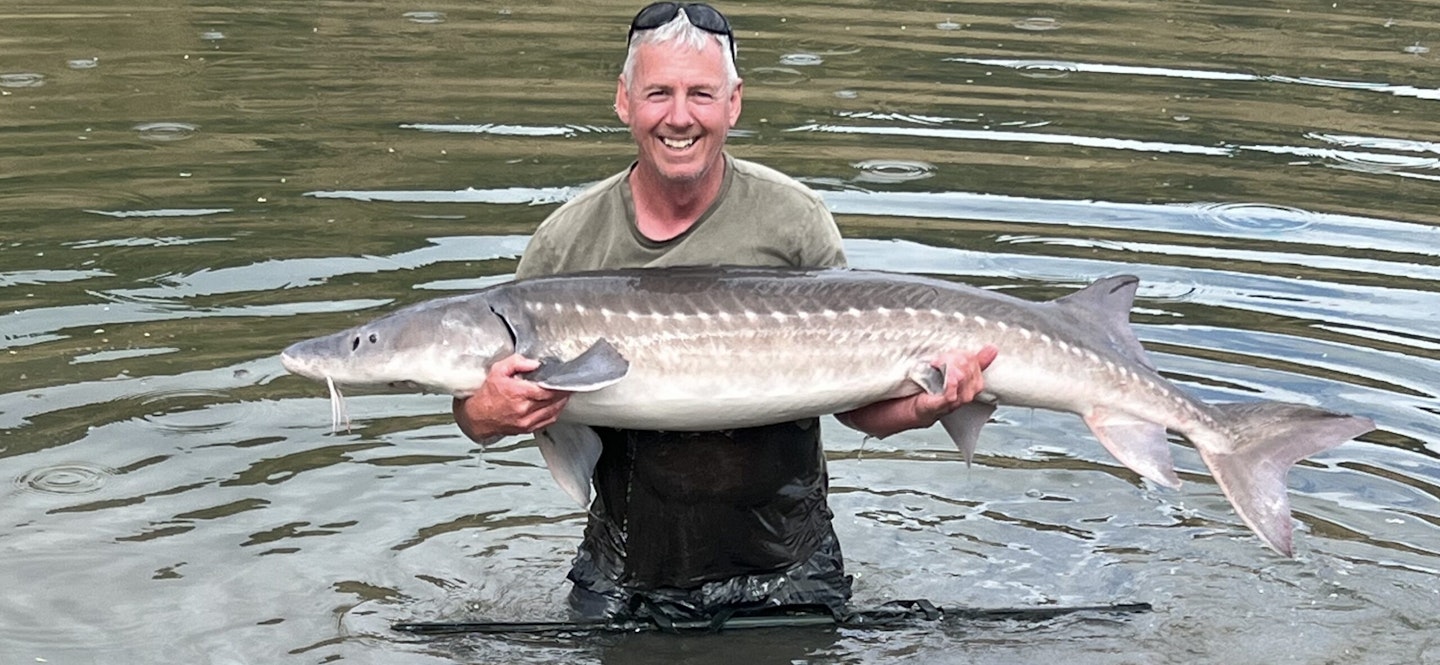 One of the smaller sturgeon Steven caught before the monster