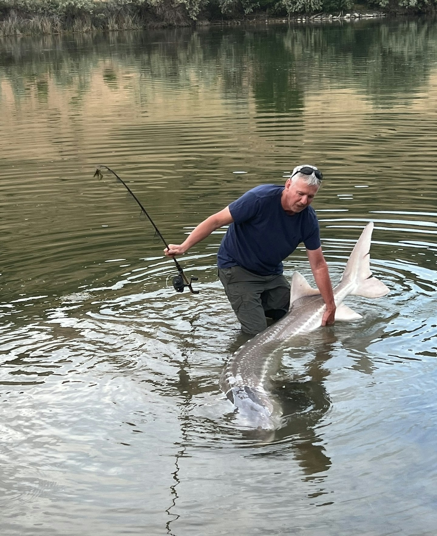 What a huge fish to catch on such light tackle!