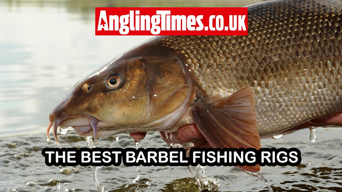 best hooks for barbel fishing Drennan Specialist XT Barbel Fishing Hooks - Hooks