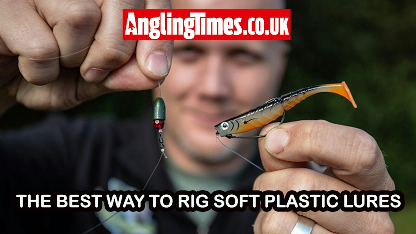 Plastic Fish Rig Master Jighead Fishing: 3 Effective Rigs Every Angler Needs