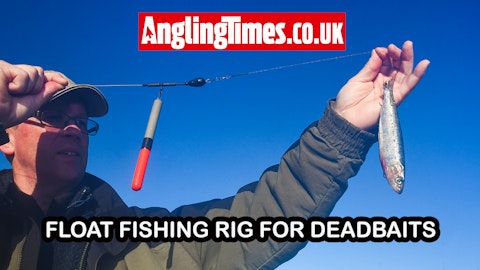 Effective deadbait float fishing rig for pike | Angling Times
