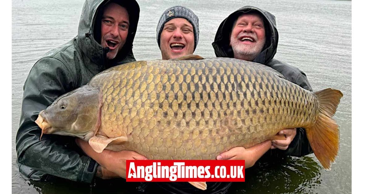 The world s biggest common carp has been caught Angling Times
