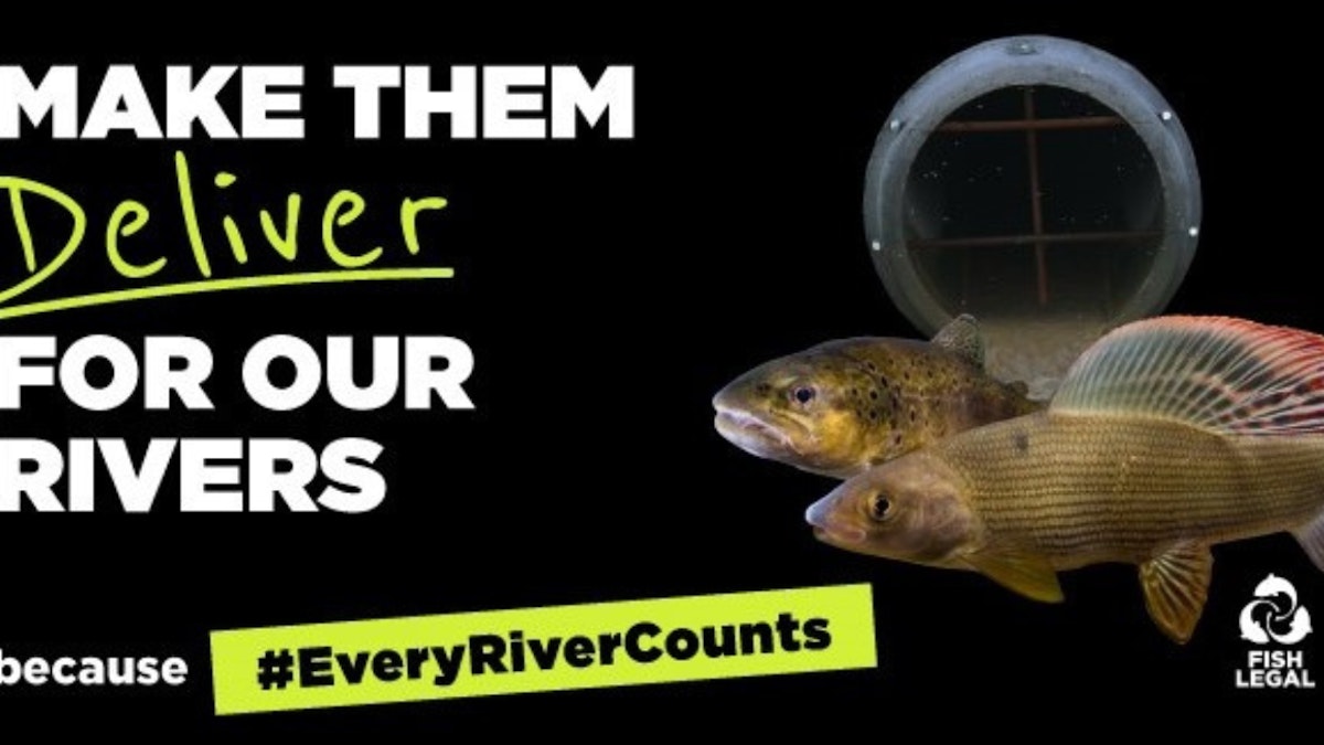 Every River Counts: Join the Fight to Protect Britain's Waterways