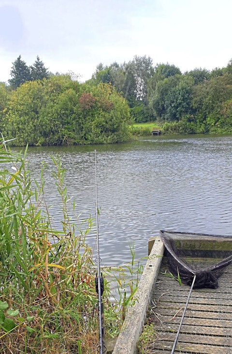 Carp fishing in autumn: carp fishing tips