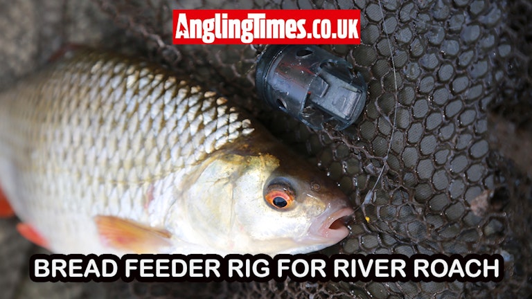 Rigs | Advice | Angling Times
