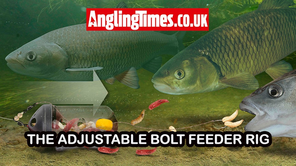 Rig tying guide: Bolt feeder rig for chub and roach on rivers