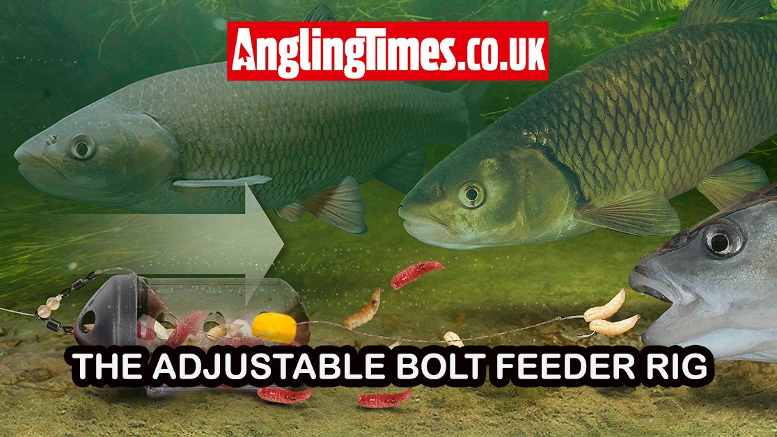 Rig tying guide: Bolt feeder rig for chub and roach on rivers